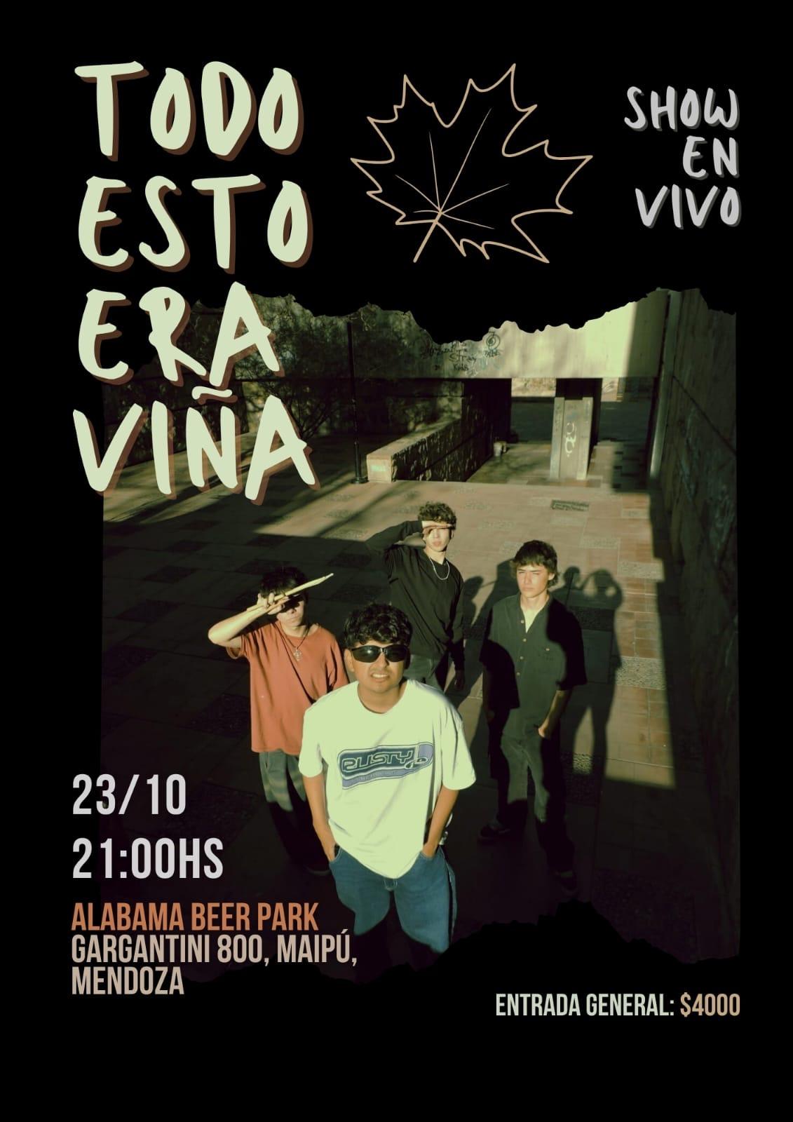 TODO ESTO ERA VIÑA